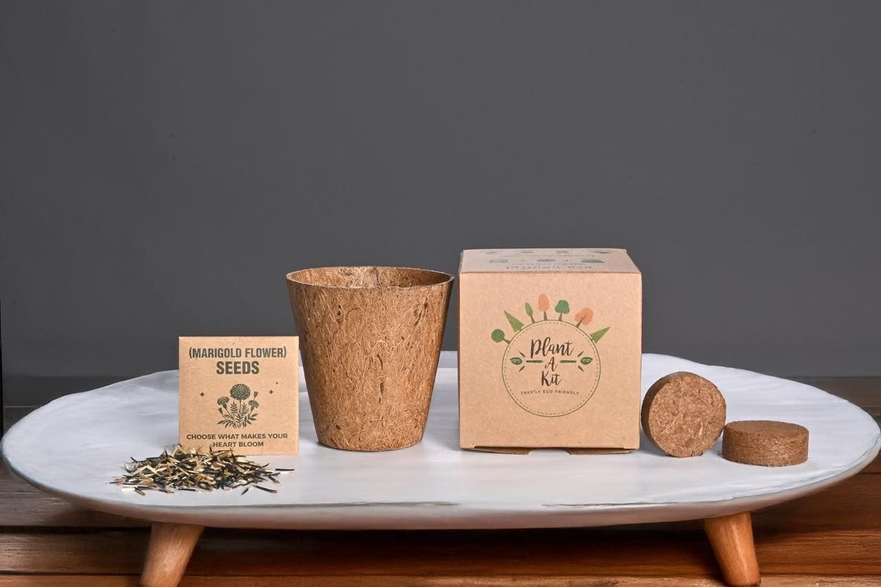 eco-neutral® All-in-One Plant Grow Kit - Image 6