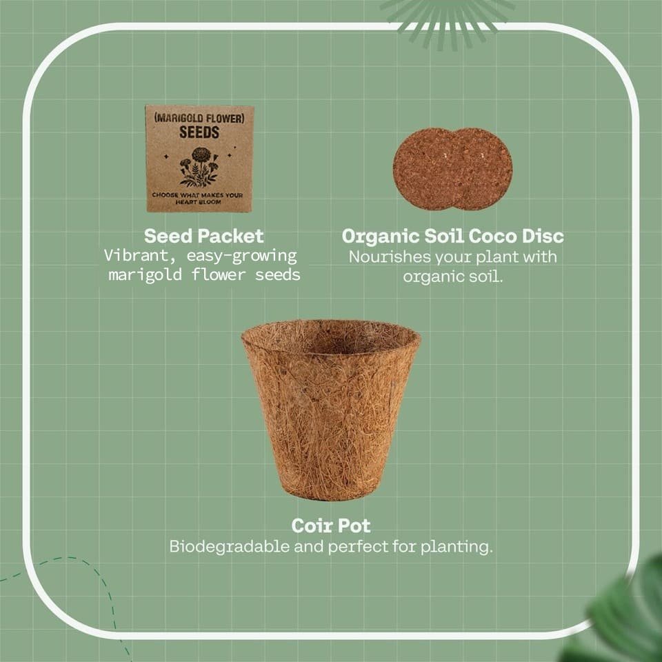 eco-neutral® All-in-One Plant Grow Kit - Image 5