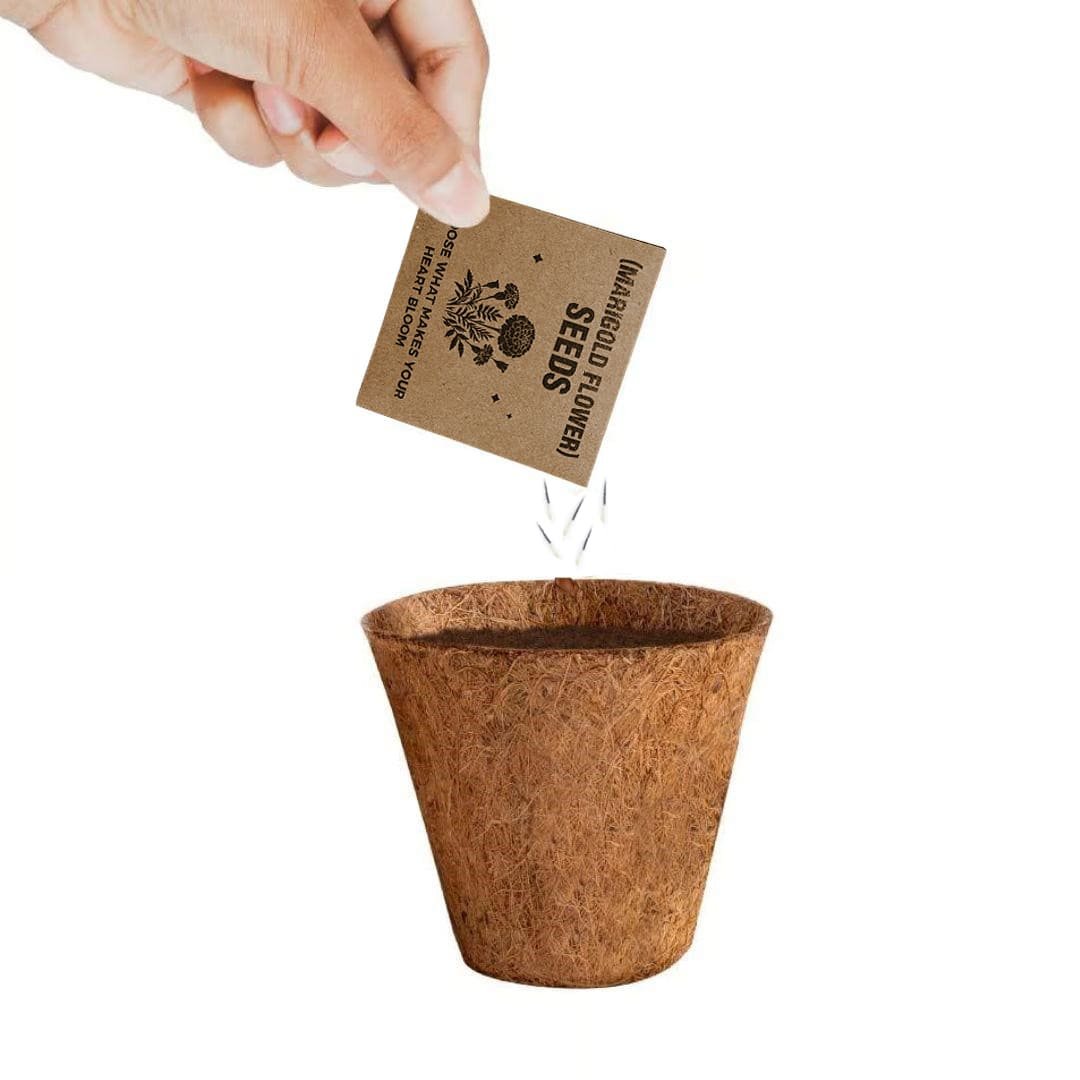 eco-neutral® All-in-One Plant Grow Kit - Image 4