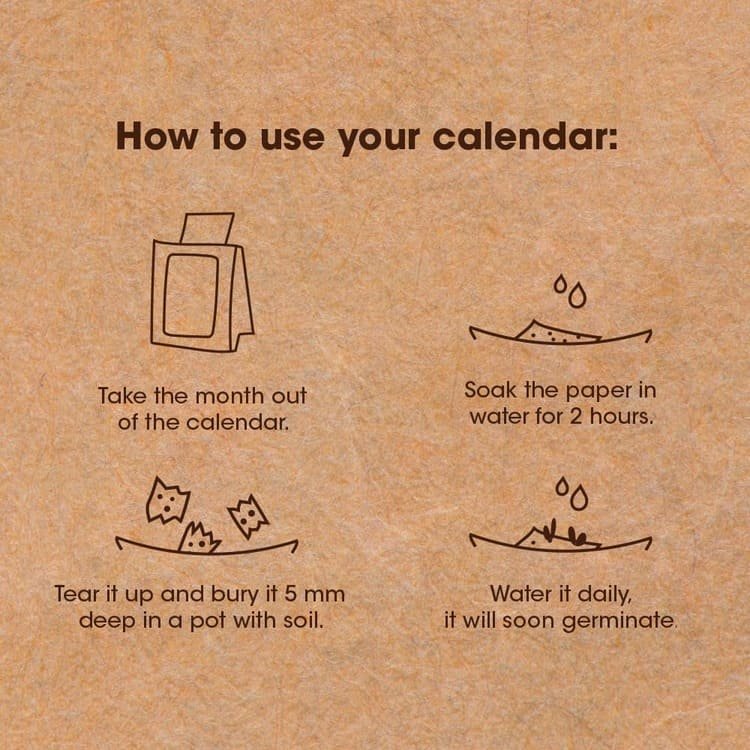 eco-neutral® Plantable Calendar with 12 Sheets Seed Paper - Image 4