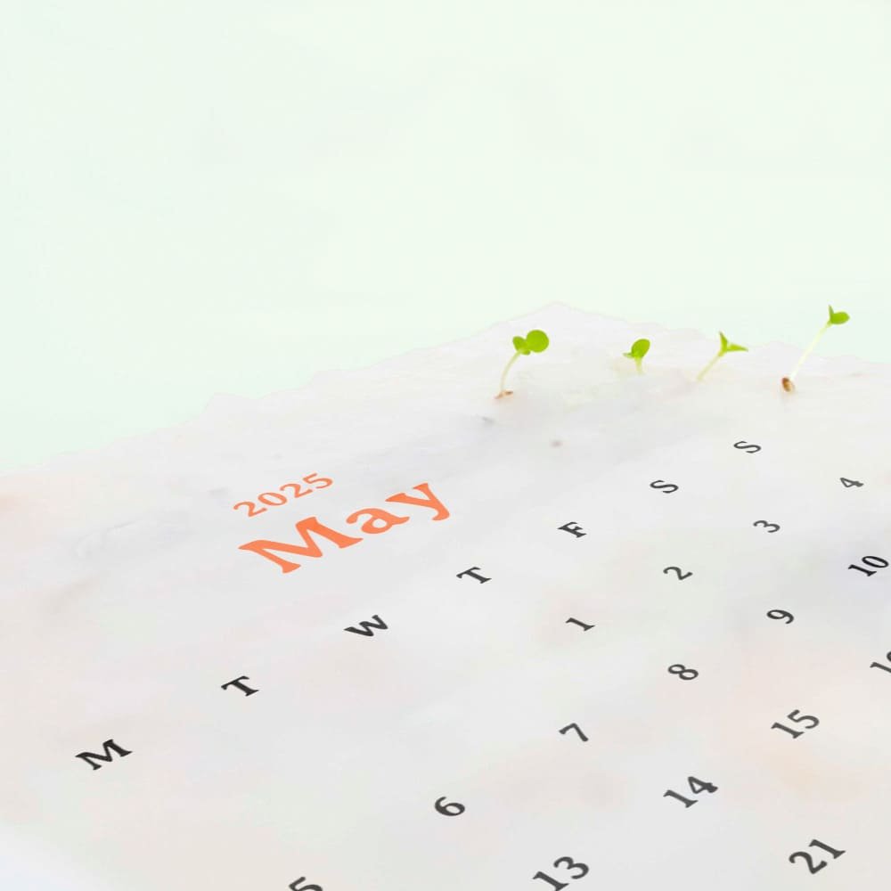 eco-neutral® Plantable Calendar with 12 Sheets Seed Paper - Image 5